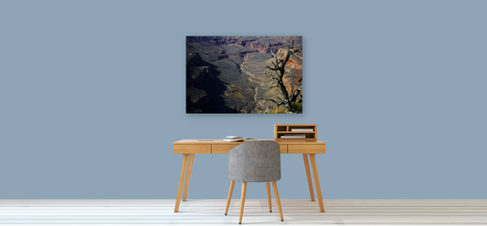 Skeleton Valley •Wall Art• |Spiritual Nature Collection