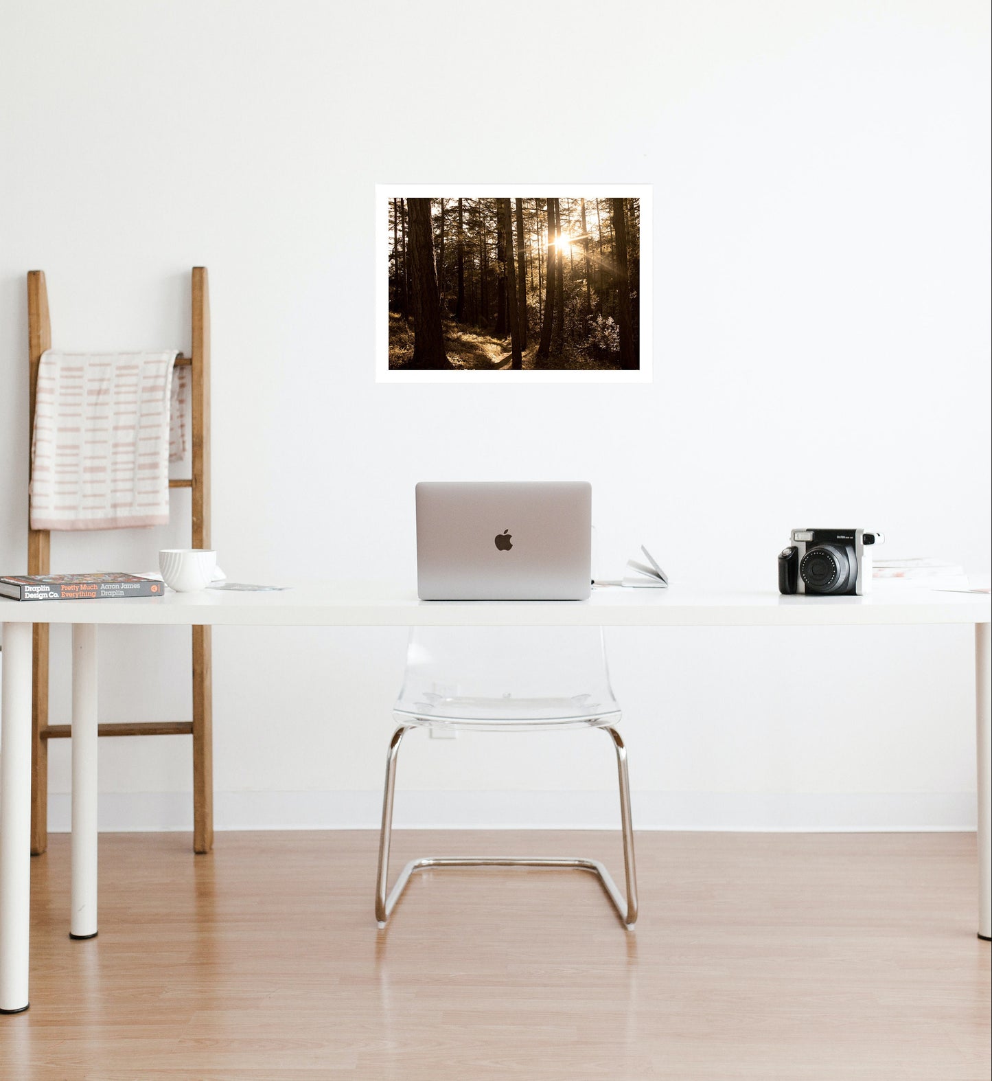 Redwood Forest Photography|Minimalistic Nature Photography |