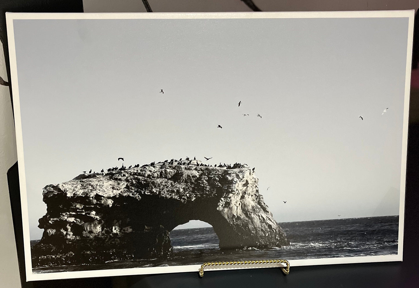 Natural Bridges