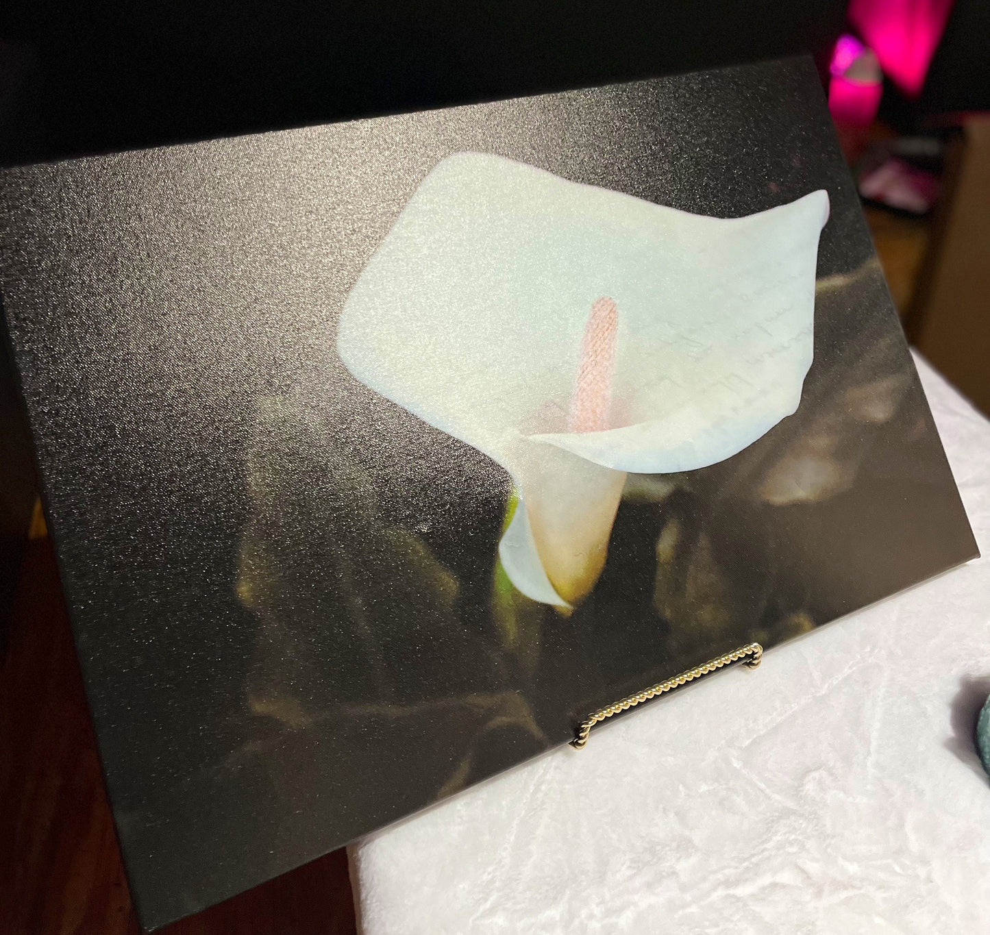 Lily Letter