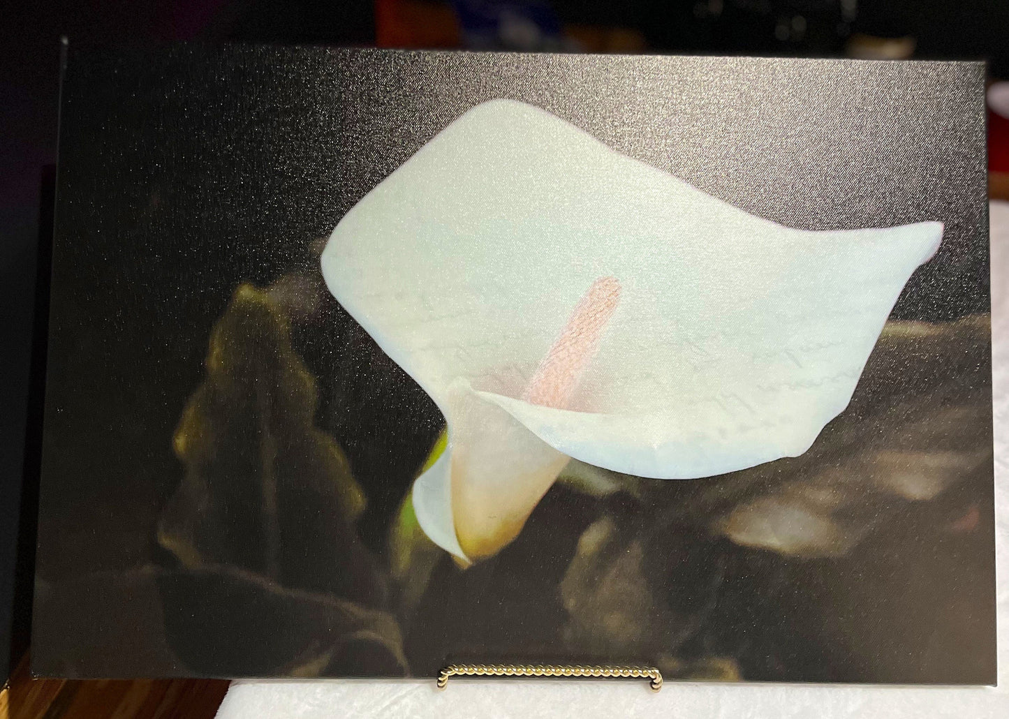 Lily Letter