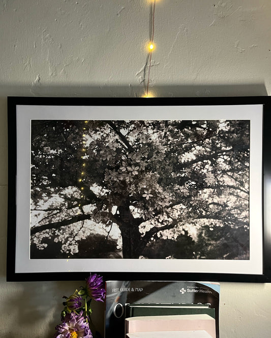 Black & White Photography | 1000 Blossoms •Wall Art•