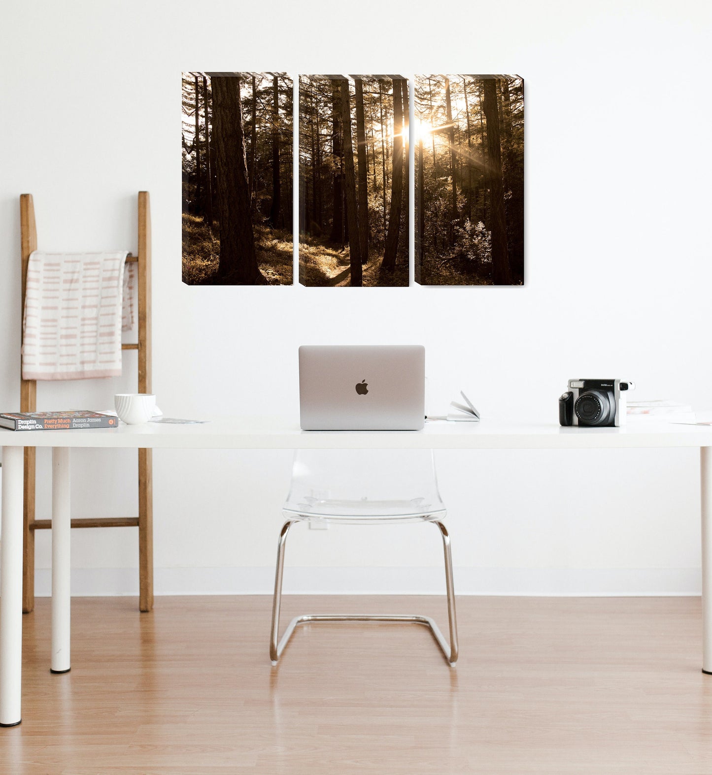 Redwood Forest Photography|Minimalistic Nature Photography |