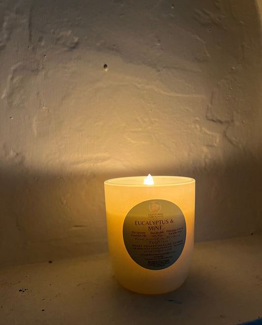 Non-toxic 8 oz Glass Candle w/Crystals