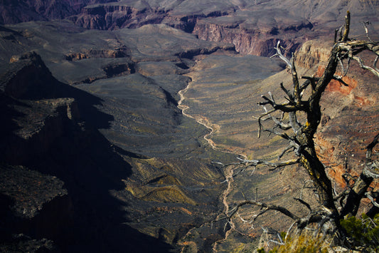 Skeleton Valley •Wall Art• |Spiritual Nature Collection